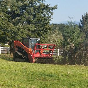 Field & Pasture Restoration & Perimeter Clearing