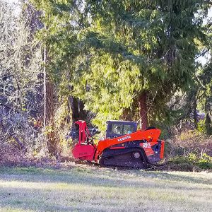 Tree Thinning / Forest Hazard Fuels Reduction